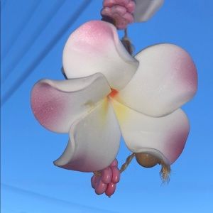 Meet your Posher, Cleofe